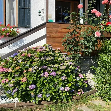 Bed & Breakfast La Soldanella *