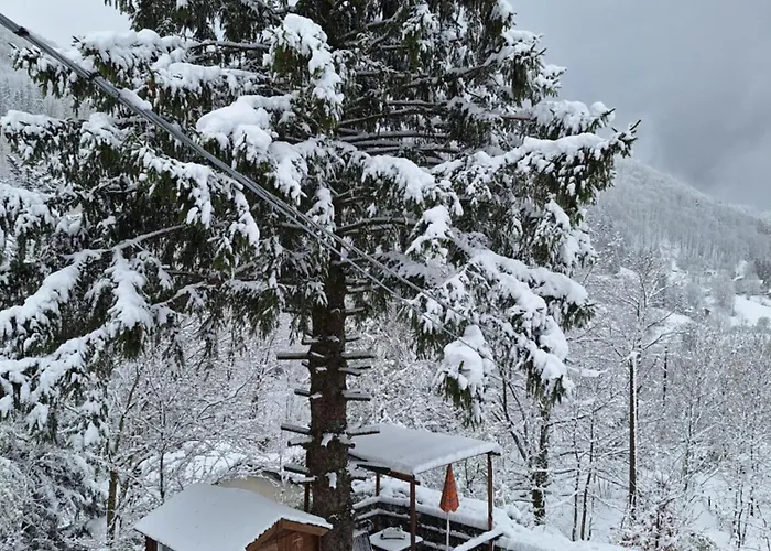 Bed & Breakfast La Soldanella Santo Stefano dʼAveto