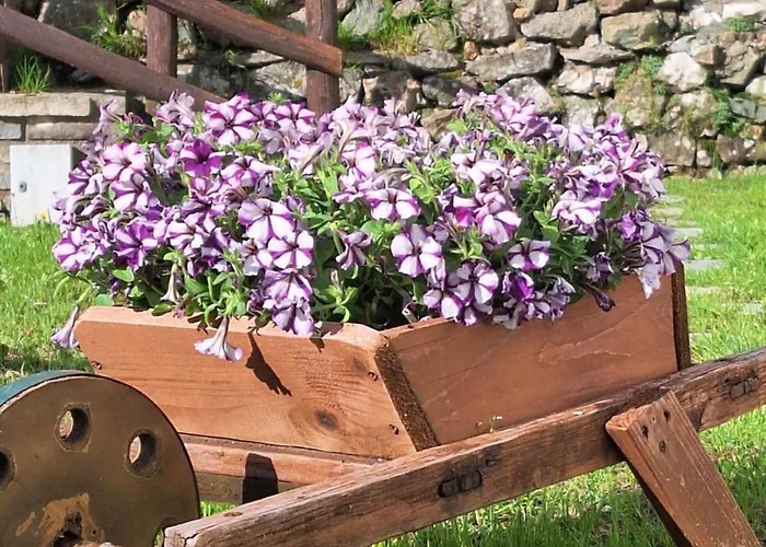 La Soldanella Bed & Breakfast Santo Stefano dʼAveto